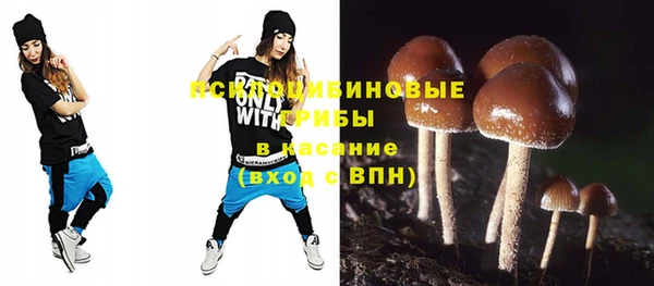 шишки Нязепетровск