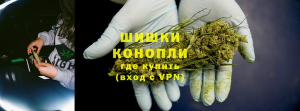 спайс Арсеньев