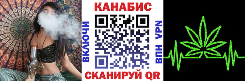 Конопля гибрид Палласовка